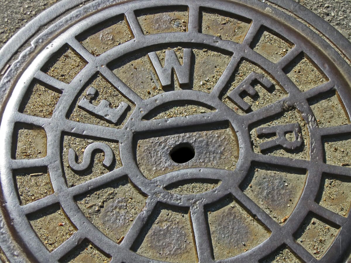 Evident Signs of a Sewer Clog
