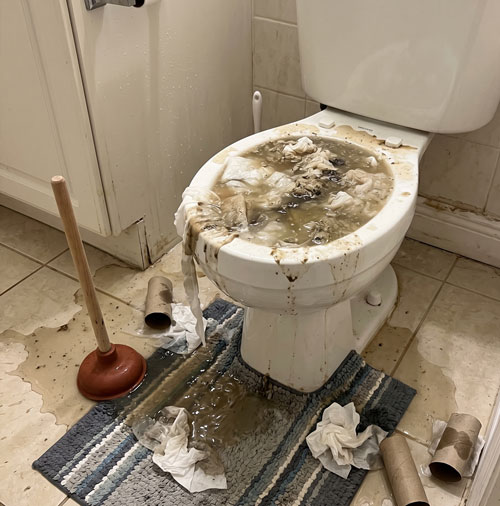 clogged toilet
